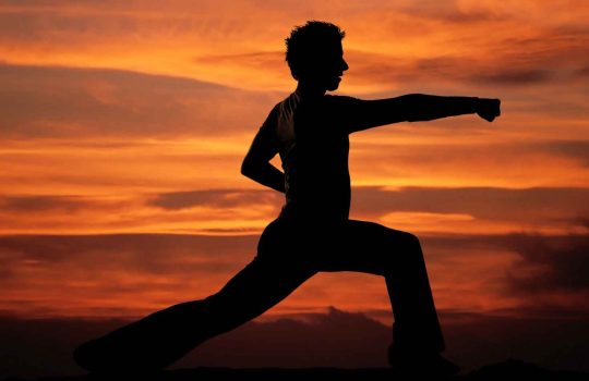 School to teach Self-Defense and Martial Arts2