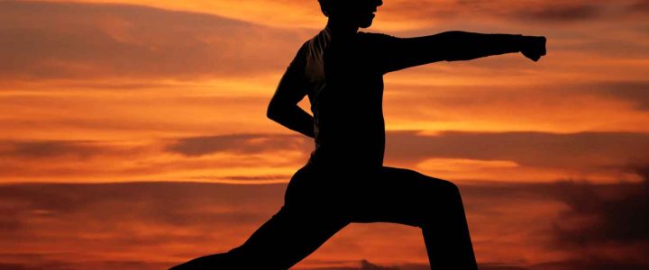 School to teach Self-Defense and Martial Arts2